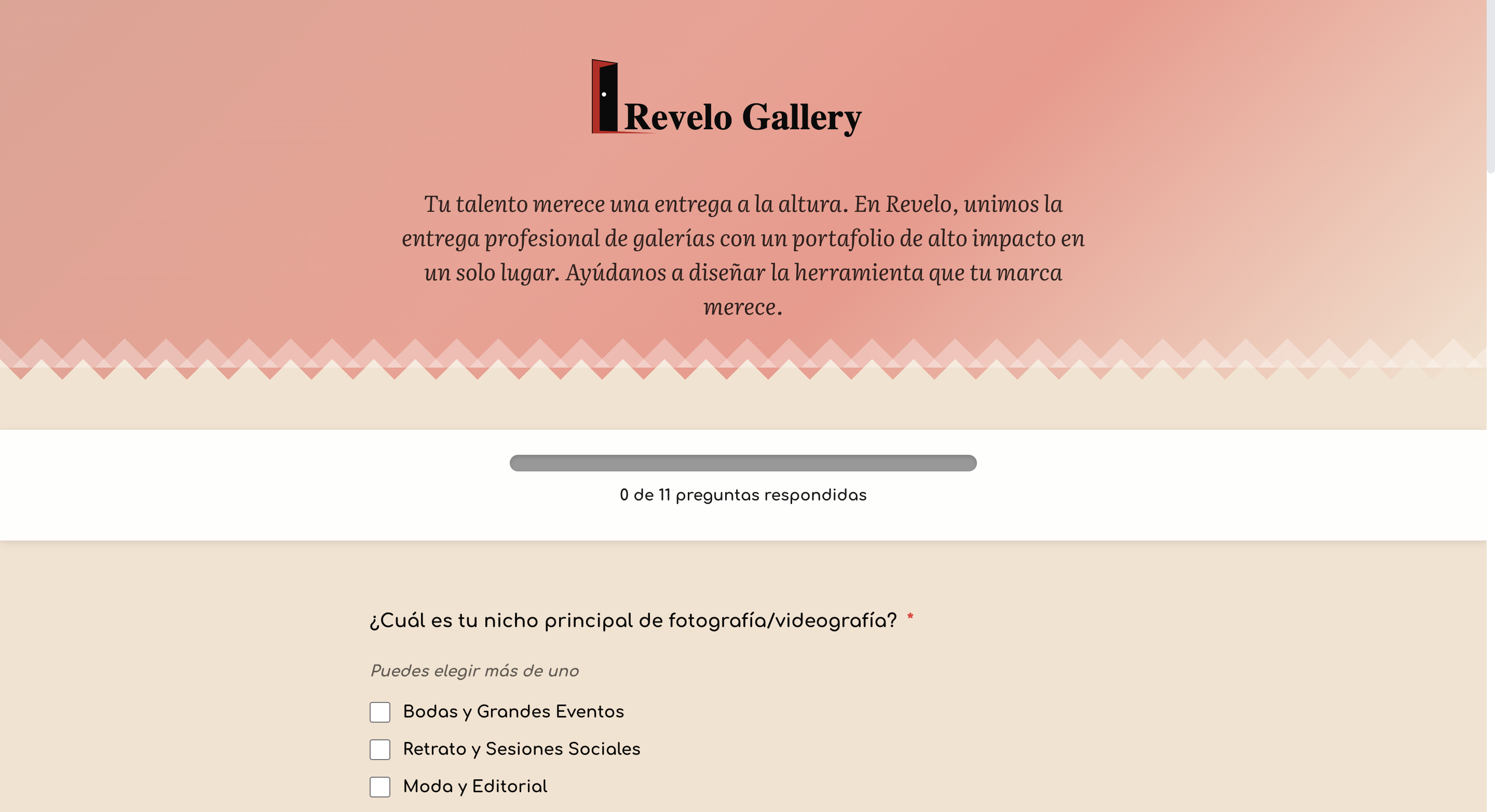 Survey Revelo Gallery